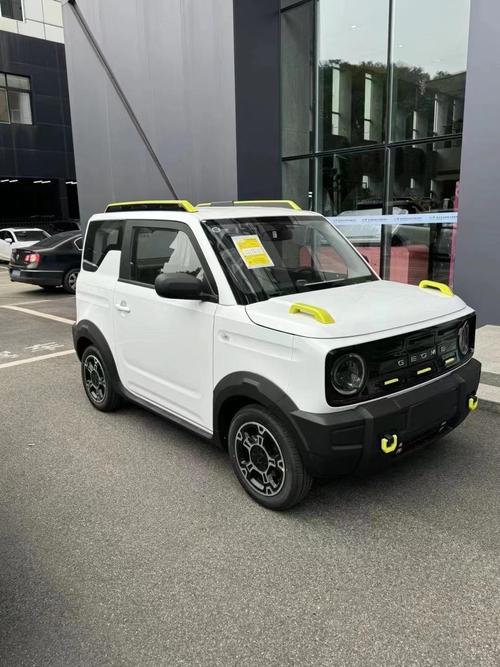 吉利熊猫报价及图片(吉利熊猫2021年新款)