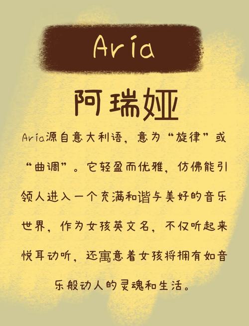 小可爱的英文(小可爱的英文是什么?)