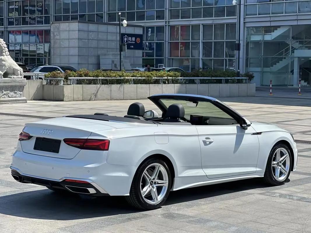 奥迪软顶敞篷车有哪几款(奥迪硬顶敞篷跑车有哪几款)