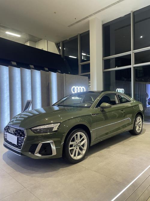 奥迪2门轿跑／奥迪二门车型