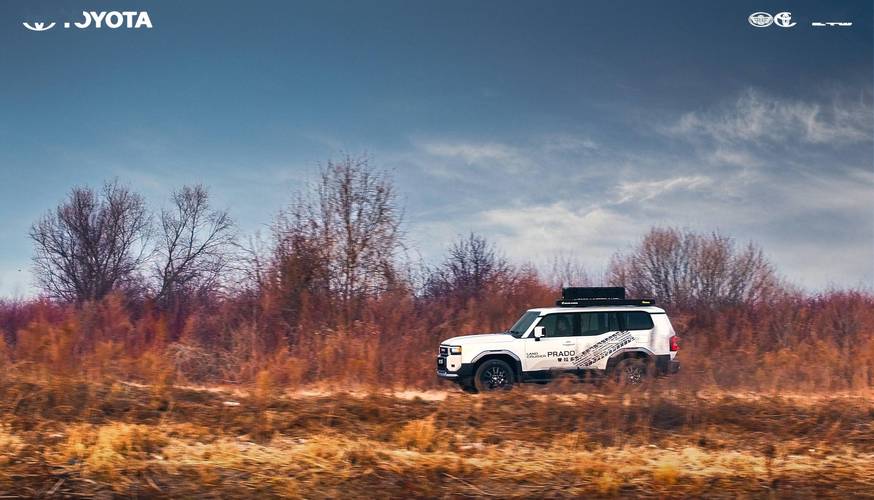 进口普拉多价格,进口普拉多价格对比