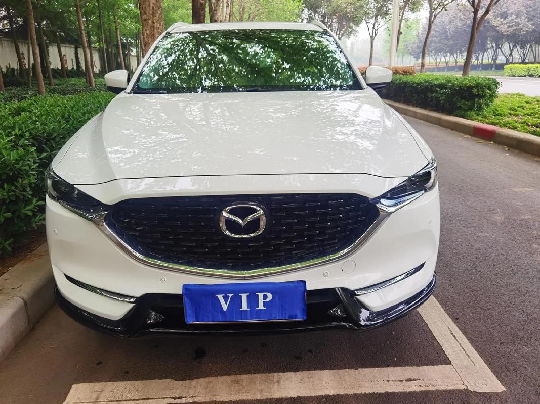 【马自达2021,马自达2021款有颗粒捕捉器吗】